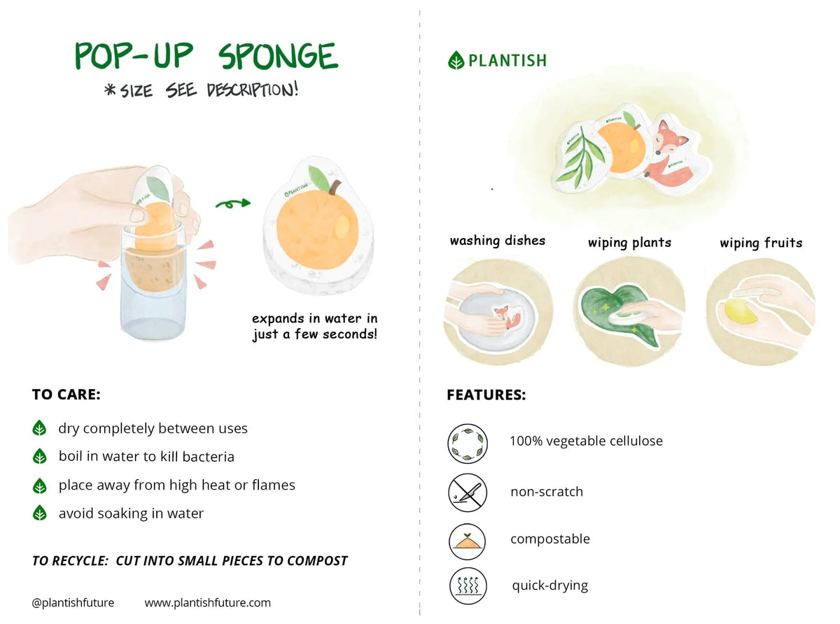 Set of 3 Bestselling Pop up Sponges